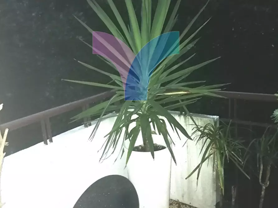 Immagine 18 di Appartamento in vendita  in via muri a Treviso