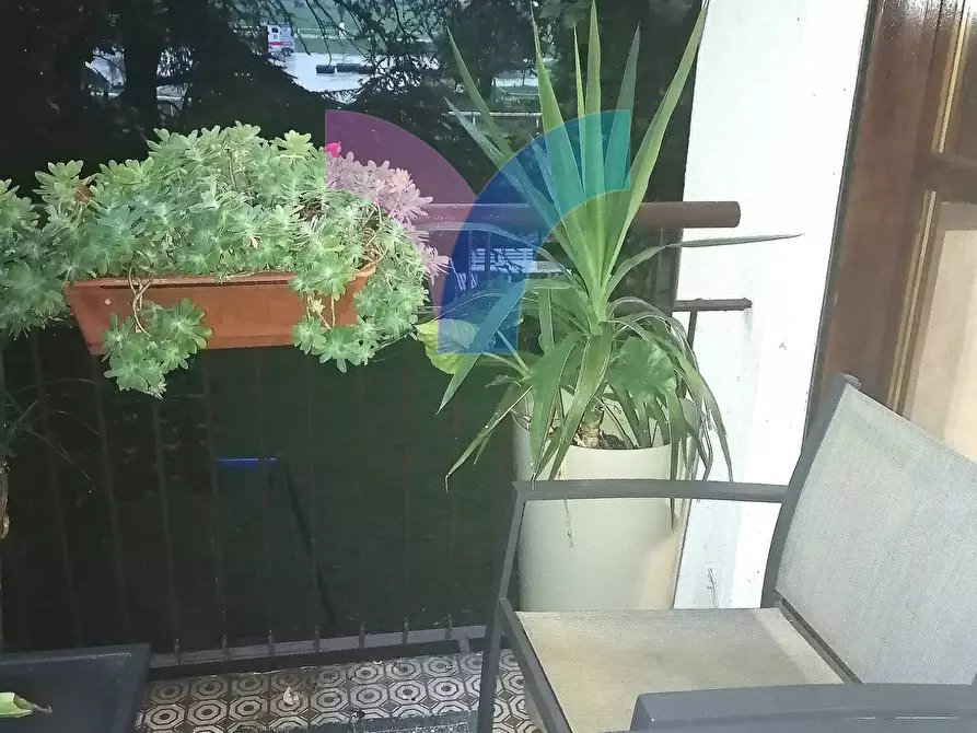 Immagine 19 di Appartamento in vendita  in via muri a Treviso