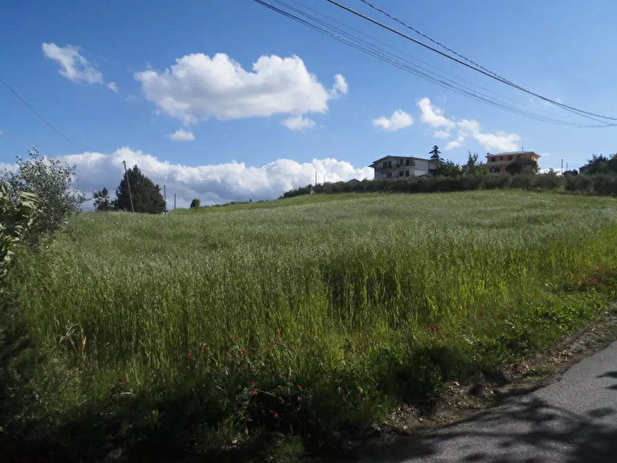 Immagine 1 di Terreno agricolo in vendita  in Contrada Pino a Benevento