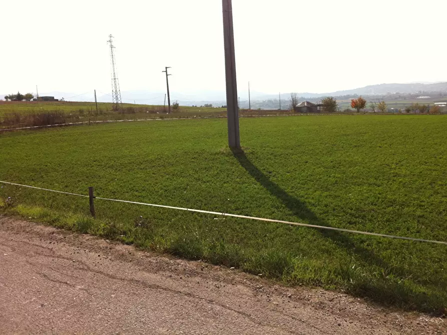 Immagine 3 di Terreno agricolo in vendita  in Contrada Cancelleria a Benevento