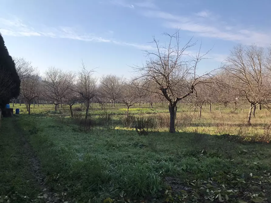 Immagine 10 di Terreno residenziale in vendita  in Santa Clementina a Benevento
