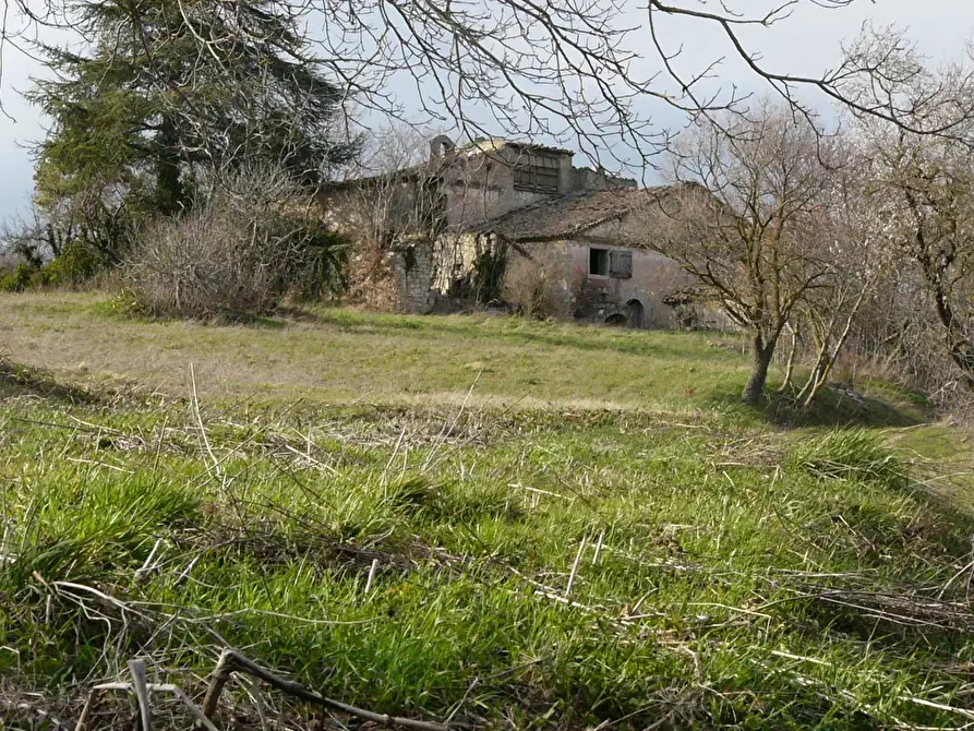 Immagine 7 di Rustico / casale in vendita  in Contrada Campolavoro a Riccia