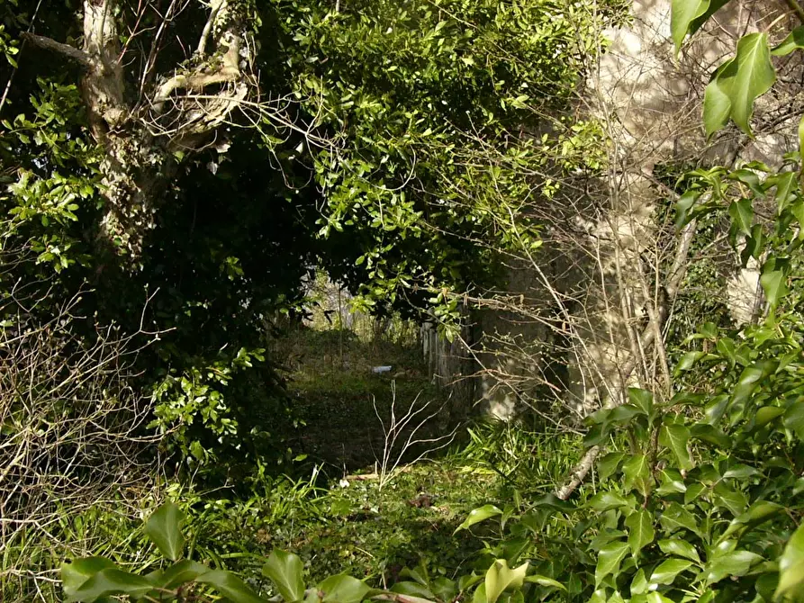 Immagine 14 di Rustico / casale in vendita  in Contrada Campolavoro a Riccia