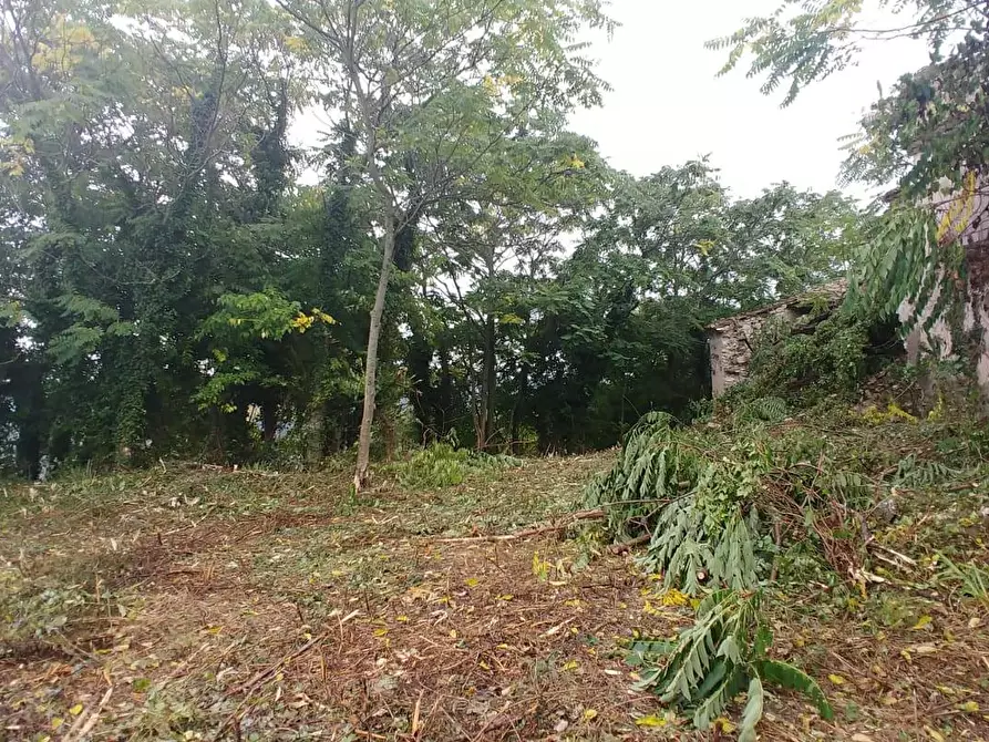Immagine 13 di Rustico / casale in vendita  in Contrada Campolavoro a Riccia