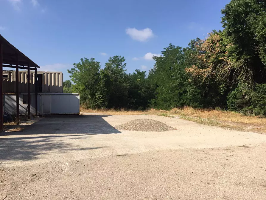 Immagine 1 di Terreno agricolo in vendita  in Contrada Fontana Margiacca a Benevento