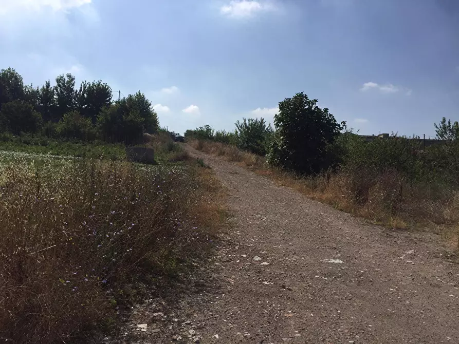 Immagine 3 di Terreno agricolo in vendita  in Contrada Fontana Margiacca a Benevento