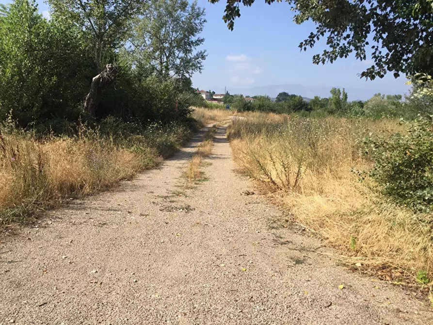 Immagine 4 di Terreno agricolo in vendita  in Contrada Fontana Margiacca a Benevento