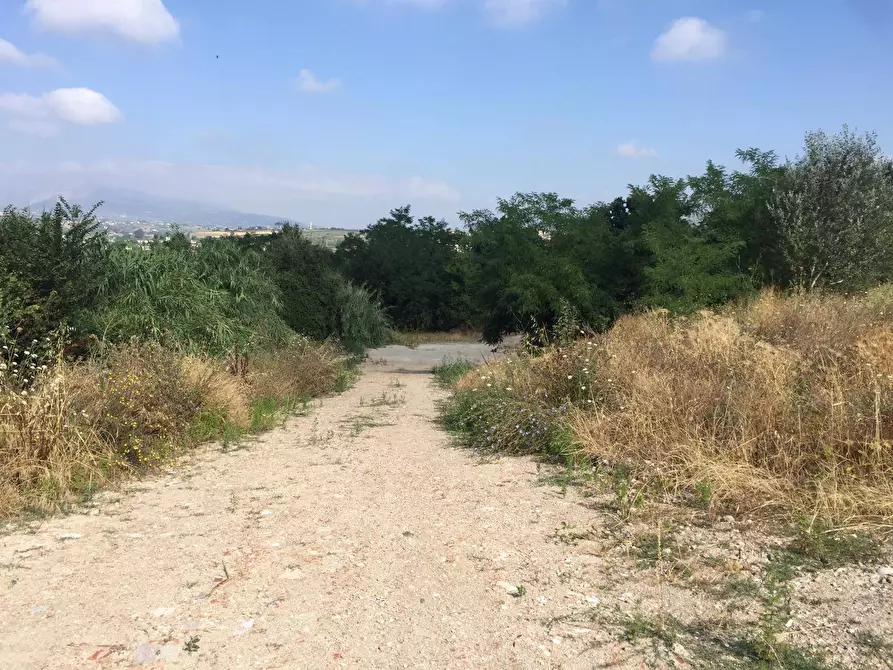 Immagine 5 di Terreno agricolo in vendita  in Contrada Fontana Margiacca a Benevento