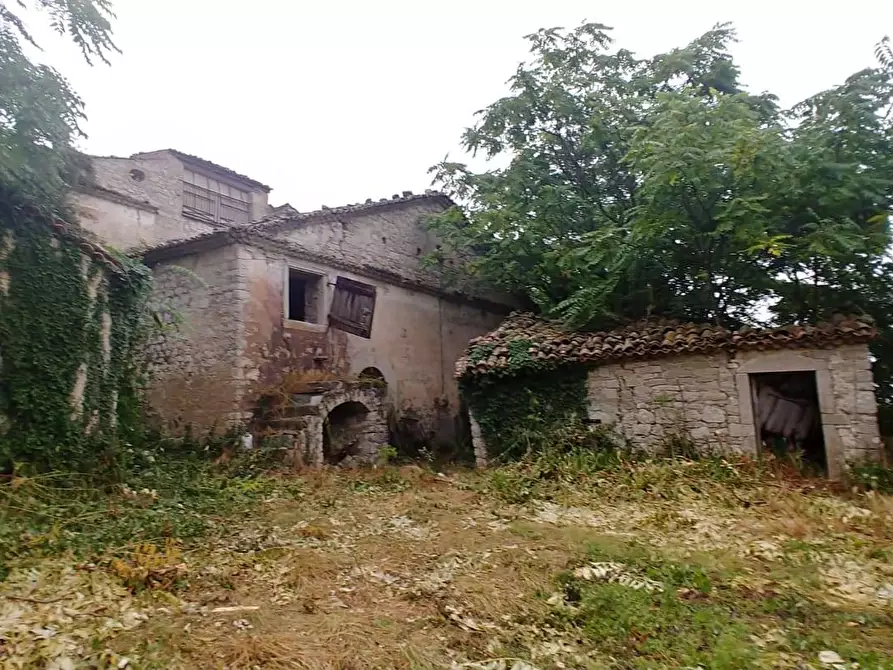 Immagine 6 di Rustico / casale in vendita  in Contrada Campolavoro a Riccia