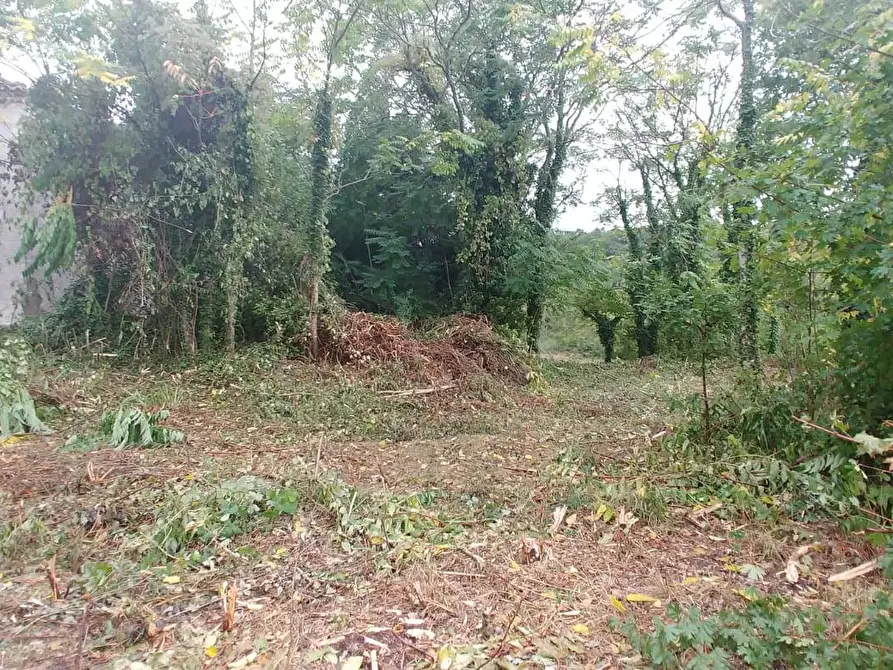 Immagine 20 di Rustico / casale in vendita  in Contrada Campolavoro a Riccia
