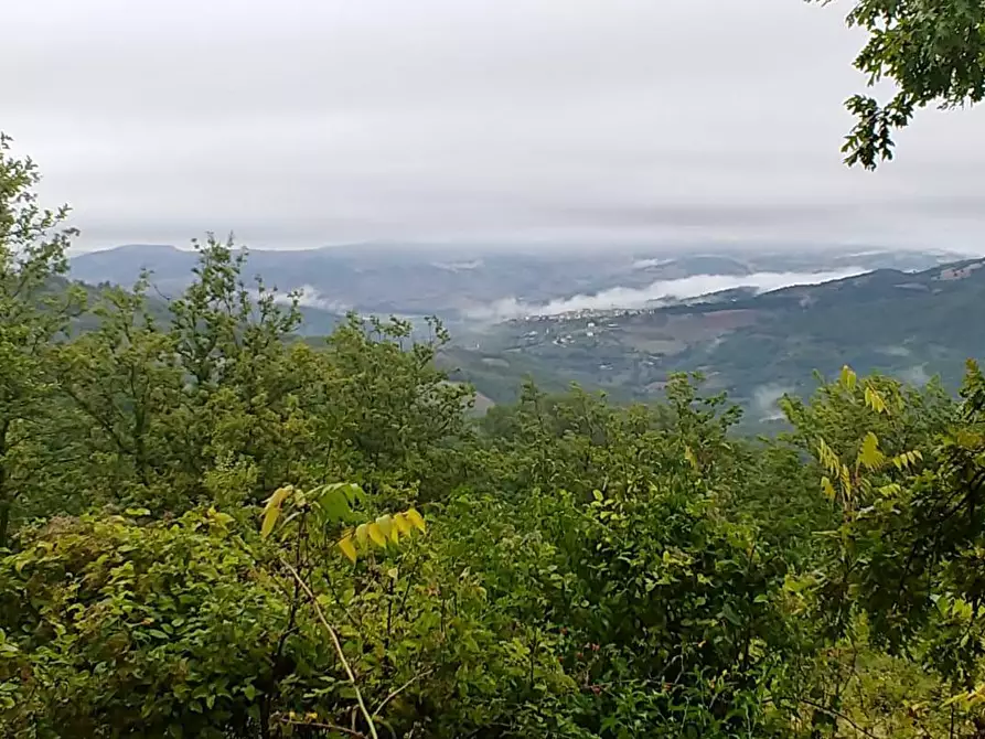 Immagine 28 di Rustico / casale in vendita  in Contrada Campolavoro a Riccia