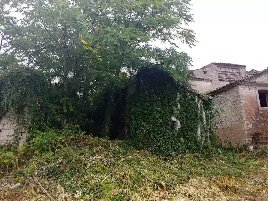 Immagine 8 di Rustico / casale in vendita  in Contrada Campolavoro a Riccia