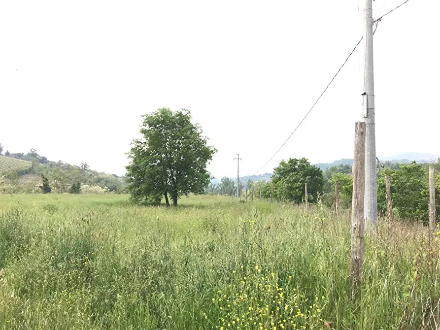 Immagine 5 di Terreno agricolo in vendita  in Foglianise a Benevento