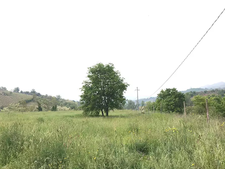 Immagine 7 di Terreno agricolo in vendita  in Foglianise a Benevento