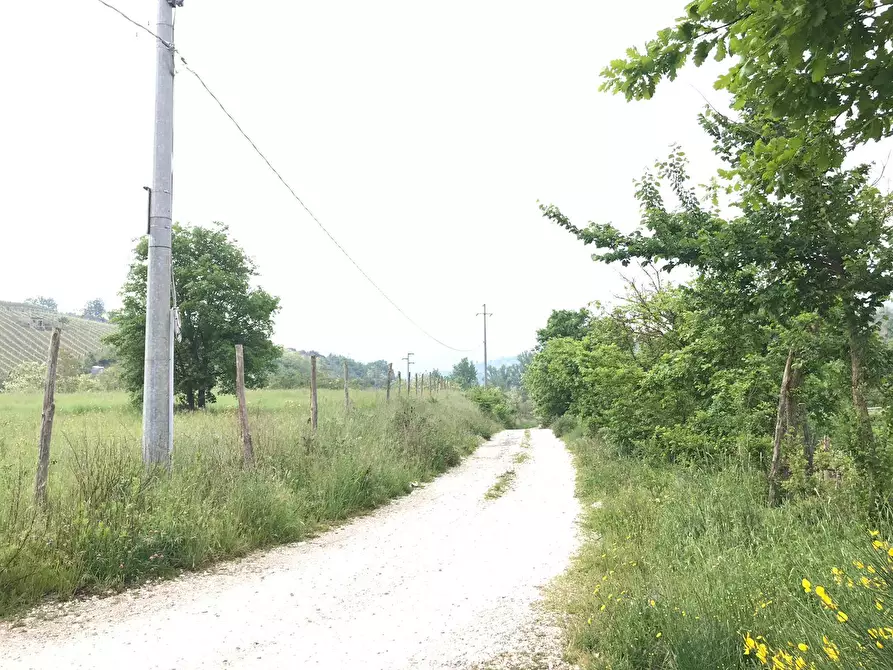 Immagine 8 di Terreno agricolo in vendita  in Foglianise a Benevento