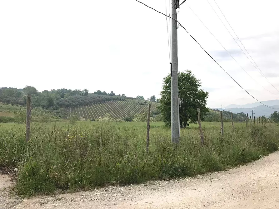 Immagine 9 di Terreno agricolo in vendita  in Foglianise a Benevento