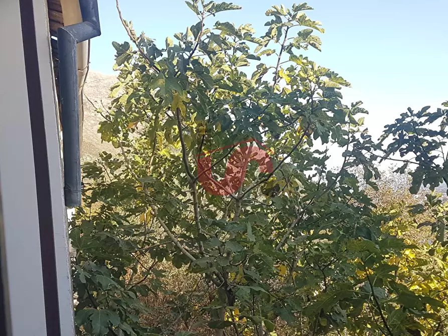 Immagine 12 di Casa semindipendente in vendita  in frazione san pietro a Vitulano
