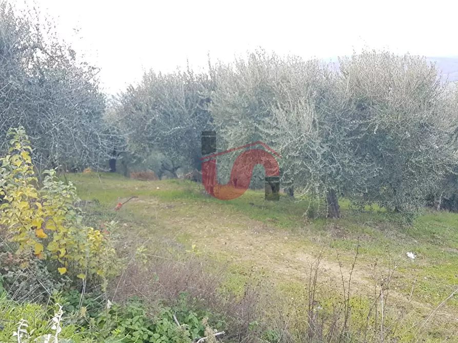 Immagine 1 di Terreno agricolo in vendita  in Contrada ponte valentino a Benevento