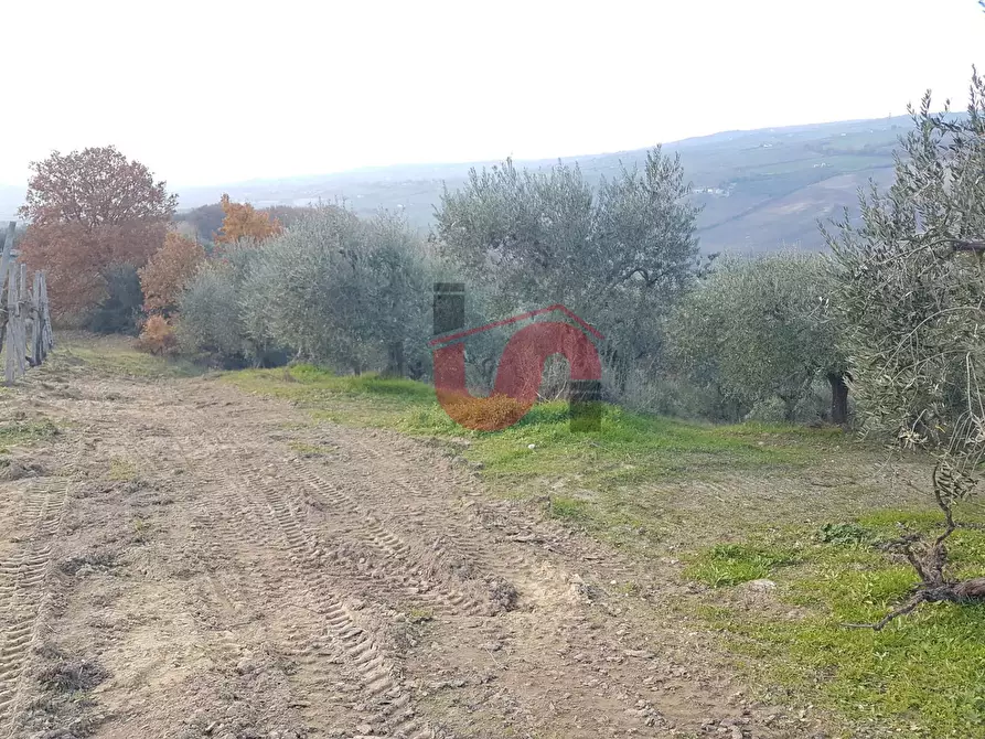Immagine 9 di Terreno agricolo in vendita  in Contrada ponte valentino a Benevento
