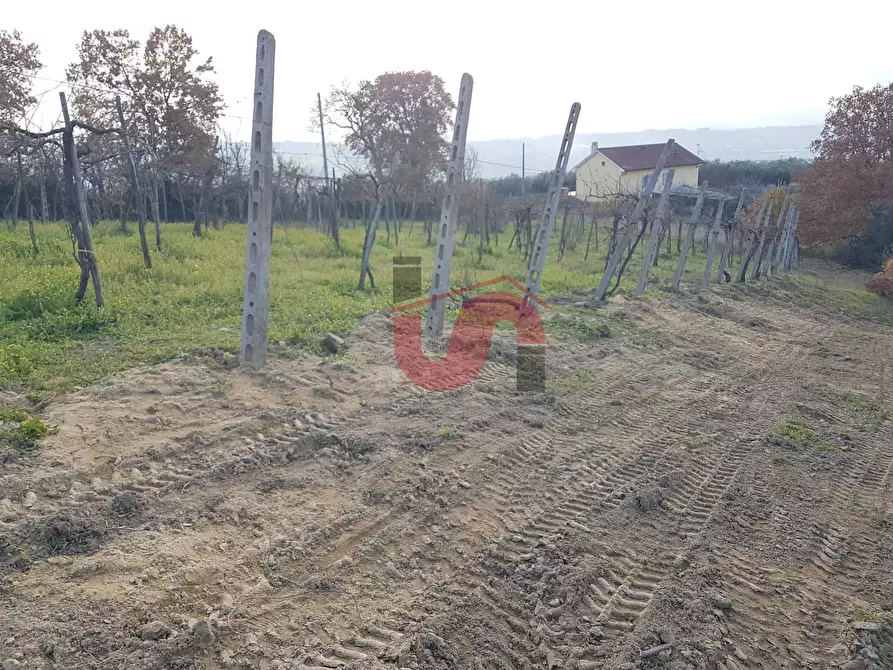 Immagine 5 di Terreno agricolo in vendita  in Contrada ponte valentino a Benevento