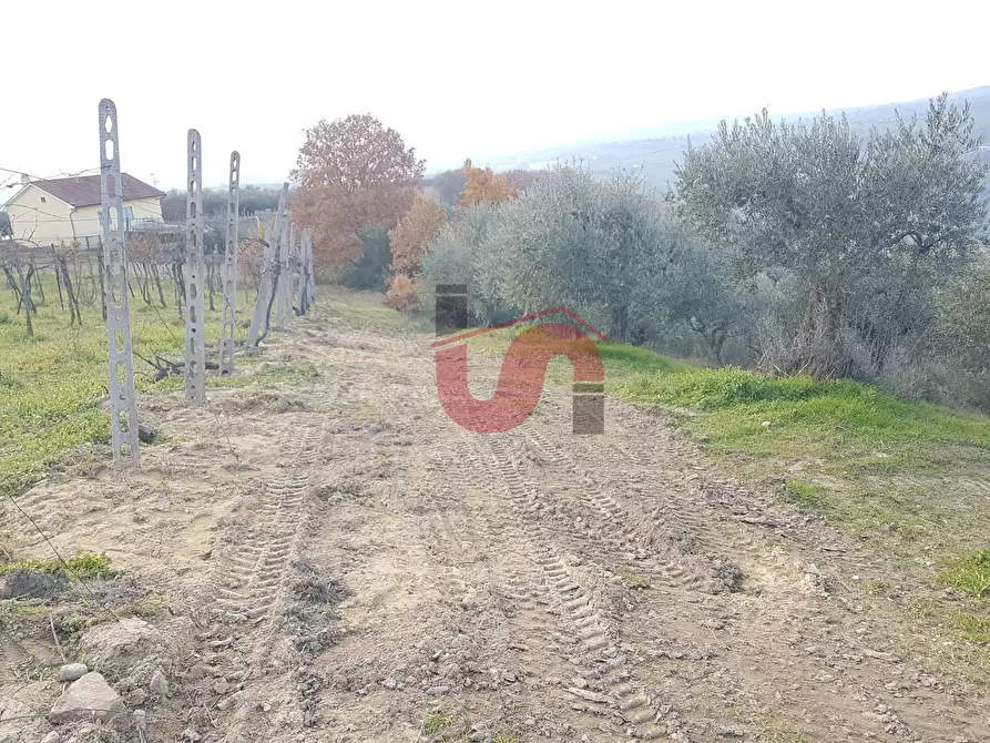 Immagine 3 di Terreno agricolo in vendita  in Contrada ponte valentino a Benevento
