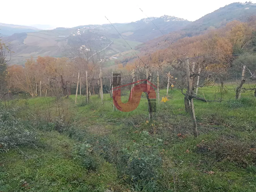 Immagine 11 di Terreno agricolo in vendita  in Contrada ponte valentino a Benevento