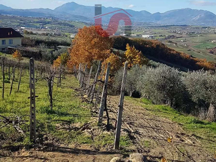 Immagine 4 di Terreno agricolo in vendita  in Contrada ponte valentino a Benevento