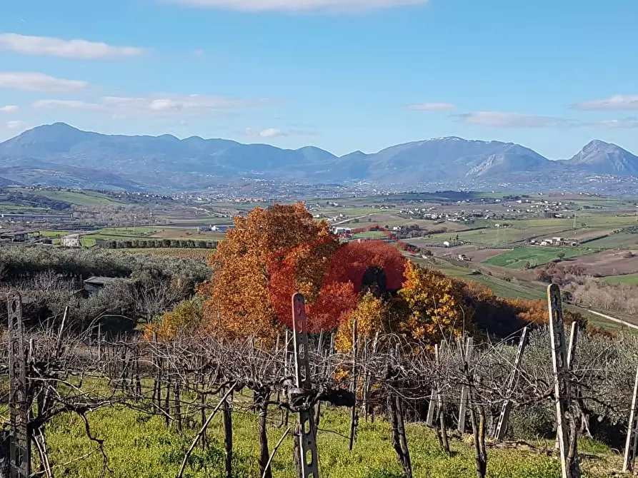 Immagine 8 di Terreno agricolo in vendita  in Contrada ponte valentino a Benevento