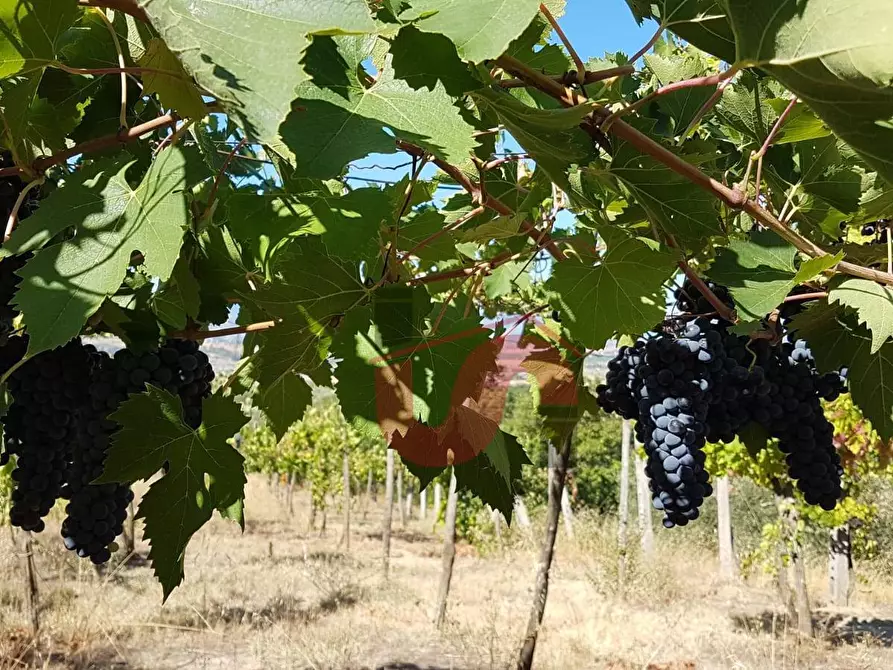 Immagine 10 di Terreno agricolo in vendita  in Contrada ponte valentino a Benevento