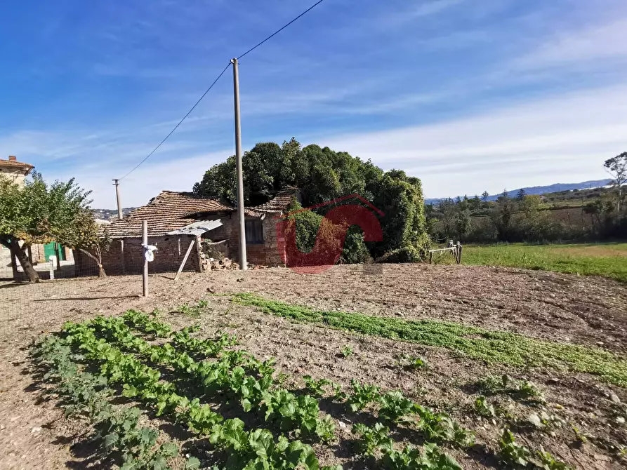 Immagine 10 di Rustico / casale in vendita  in Contrada Paritola a San Nicola Manfredi