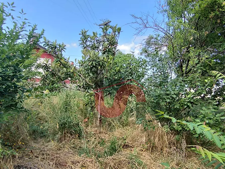 Immagine 19 di Casa semindipendente in vendita  in contrada torre alfieri a Benevento