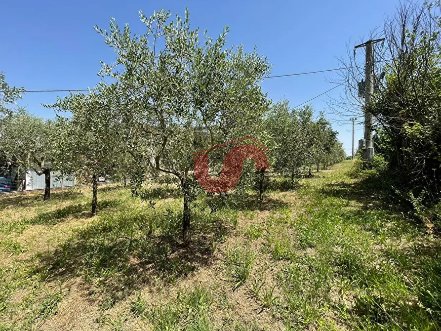Immagine 12 di Terreno residenziale in vendita  in Contrada Piano Cappelle a Benevento