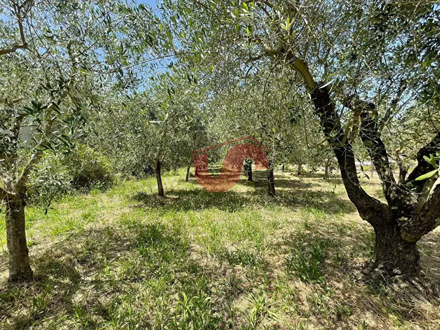 Immagine 13 di Terreno residenziale in vendita  in Contrada Piano Cappelle a Benevento