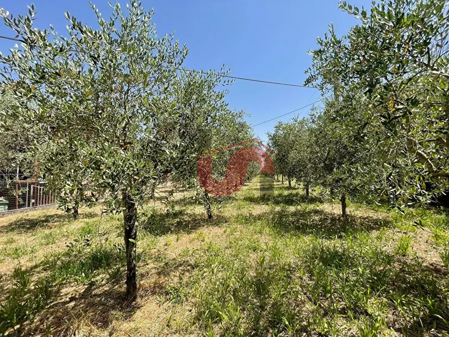 Immagine 14 di Terreno residenziale in vendita  in Contrada Piano Cappelle a Benevento