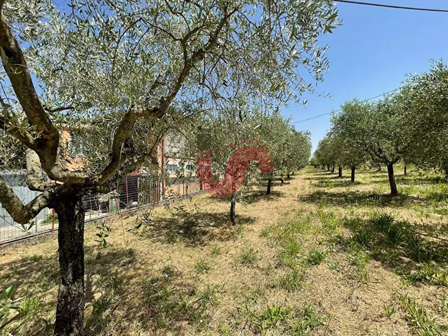 Immagine 15 di Terreno residenziale in vendita  in Contrada Piano Cappelle a Benevento