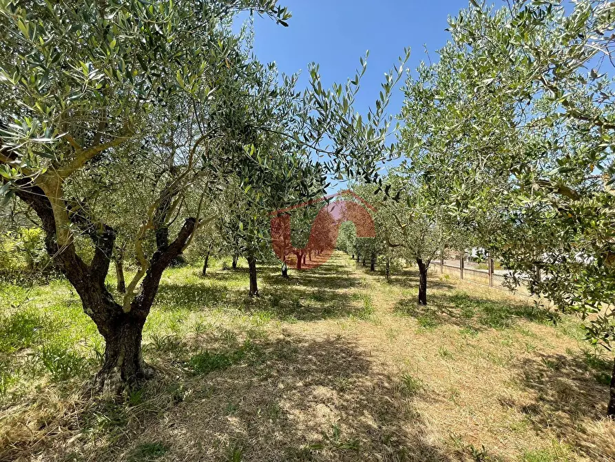 Immagine 16 di Terreno residenziale in vendita  in Contrada Piano Cappelle a Benevento