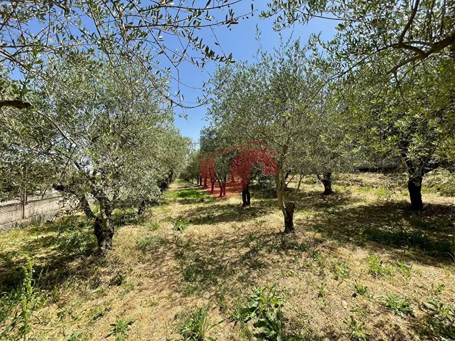 Immagine 17 di Terreno residenziale in vendita  in Contrada Piano Cappelle a Benevento