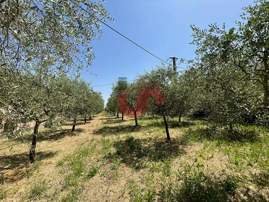 Immagine 18 di Terreno residenziale in vendita  in Contrada Piano Cappelle a Benevento