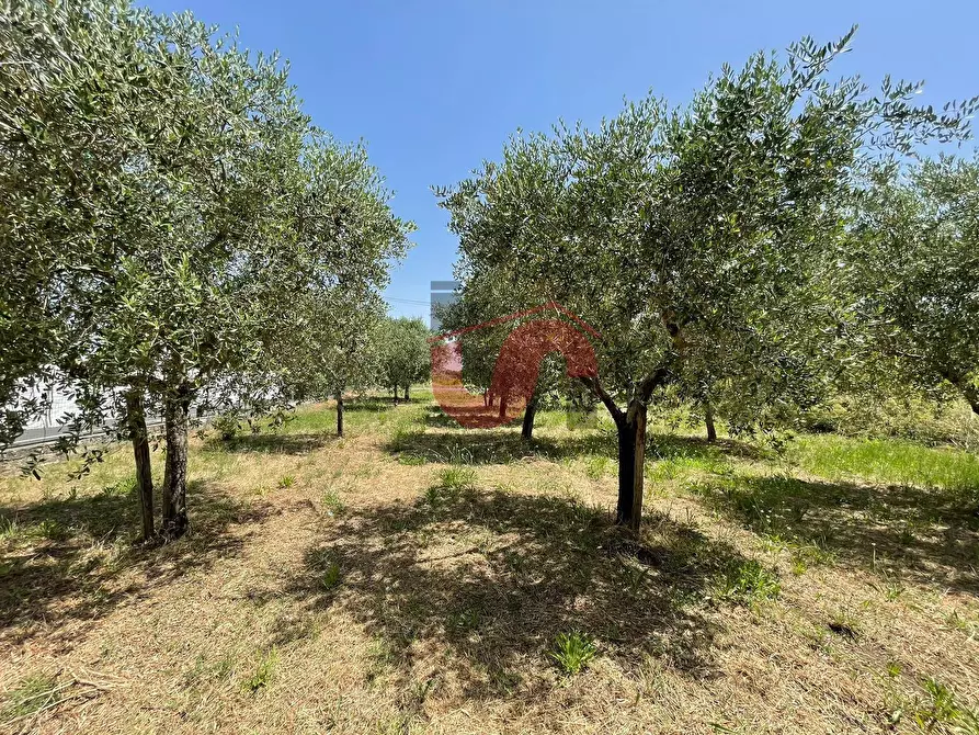 Immagine 19 di Terreno residenziale in vendita  in Contrada Piano Cappelle a Benevento