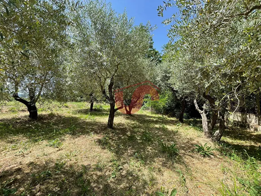 Immagine 20 di Terreno residenziale in vendita  in Contrada Piano Cappelle a Benevento
