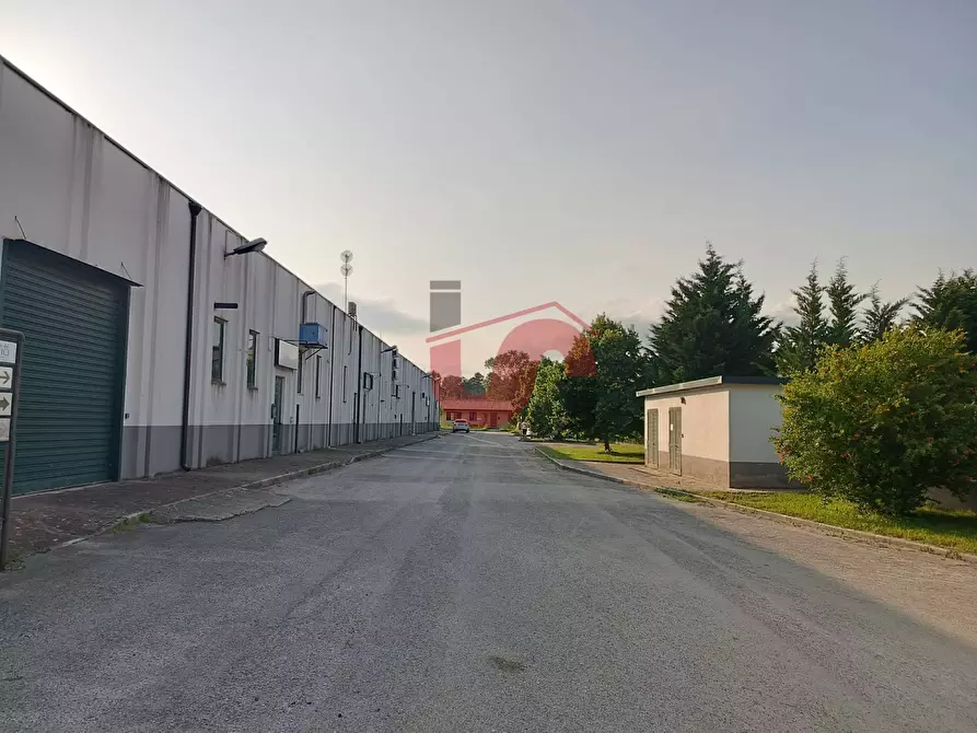Immagine 2 di Capannone industriale in affitto  in Contrada Piana (Pago Veiano) a Pago Veiano