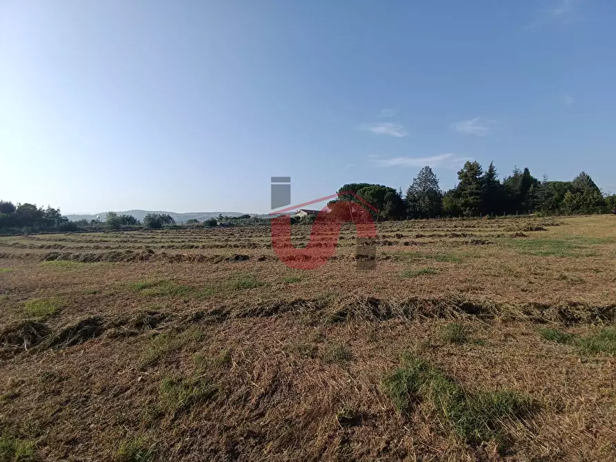Immagine 6 di Terreno residenziale in vendita  in Contrada San Chirico a Benevento