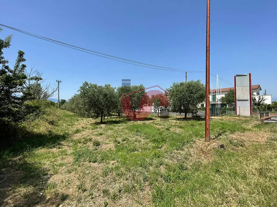 Immagine 5 di Terreno residenziale in vendita  in Contrada Piano Cappelle a Benevento