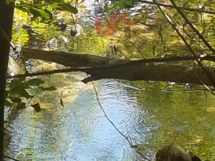 Immagine 3 di Villa in vendita  in Strada Provinciale Vitulanese a Cautano