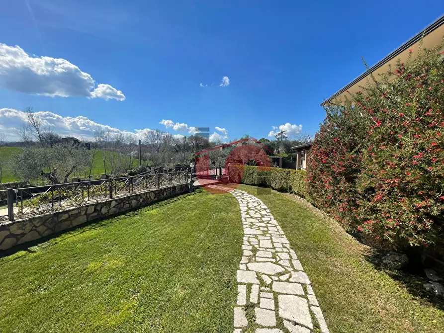 Immagine 8 di Casa bifamiliare in vendita  in Via Mirra Piano Colonna a Calvi