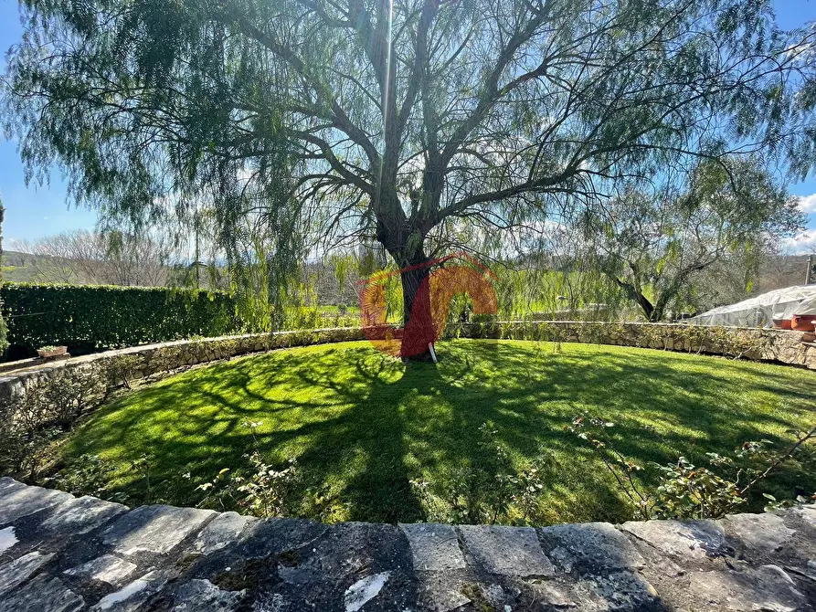 Immagine 6 di Casa bifamiliare in vendita  in Via Mirra Piano Colonna a Calvi