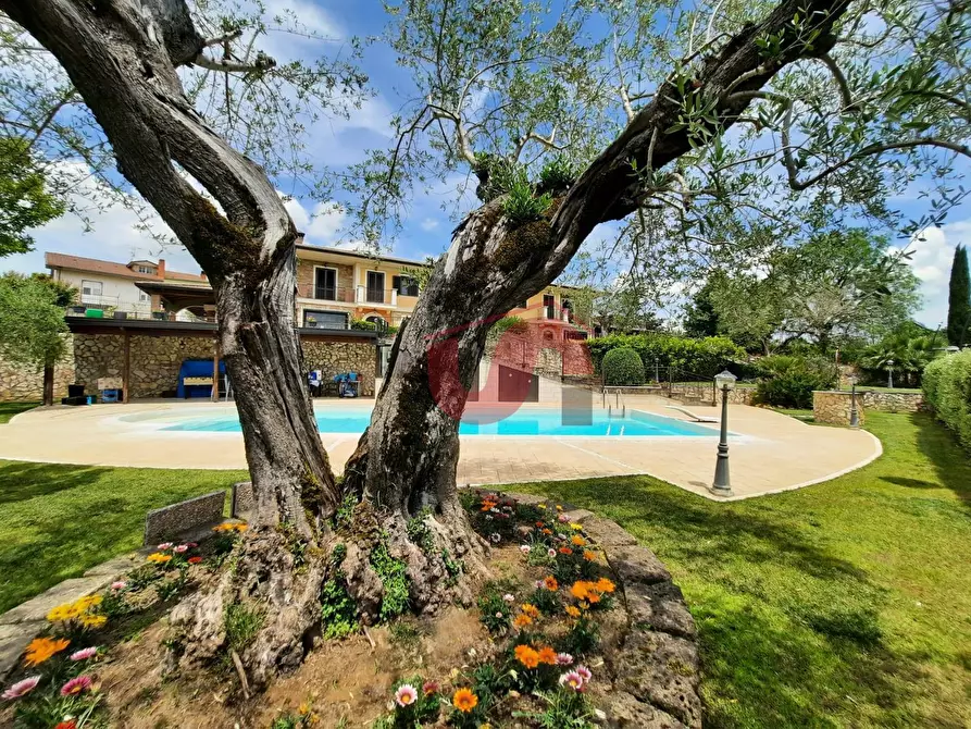 Immagine 2 di Casa bifamiliare in vendita  in Via Mirra Piano Colonna a Calvi