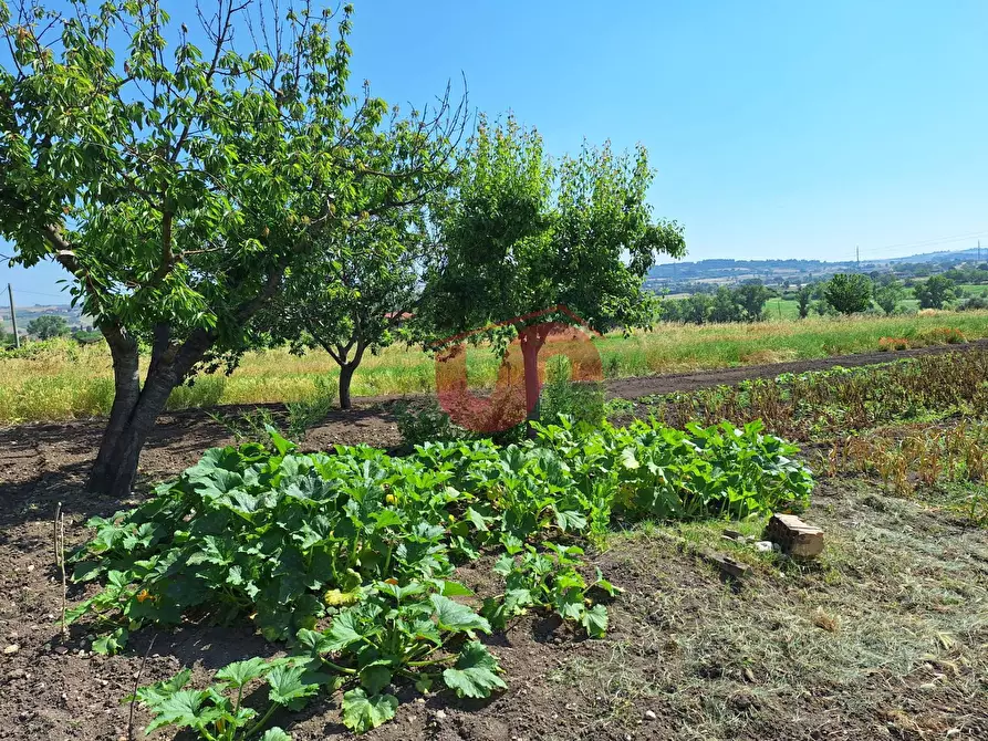 Immagine 12 di Casa indipendente in vendita  in Via Le Murate a Benevento