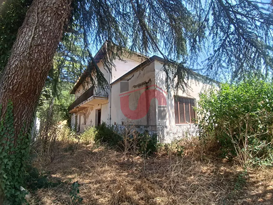 Immagine 10 di Casa indipendente in vendita  in Via Piano Cappelle a Benevento