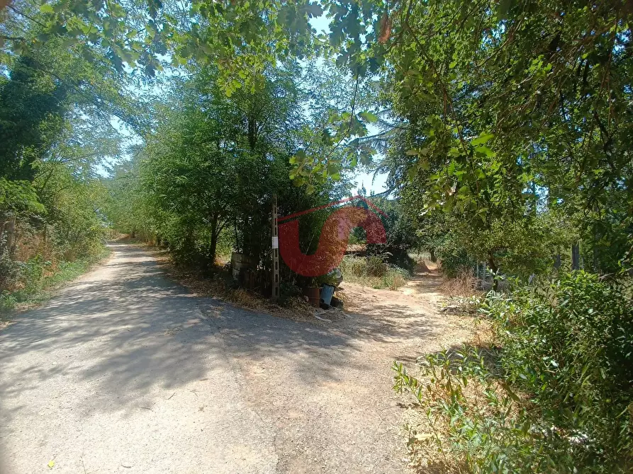 Immagine 8 di Casa indipendente in vendita  in Via Piano Cappelle a Benevento